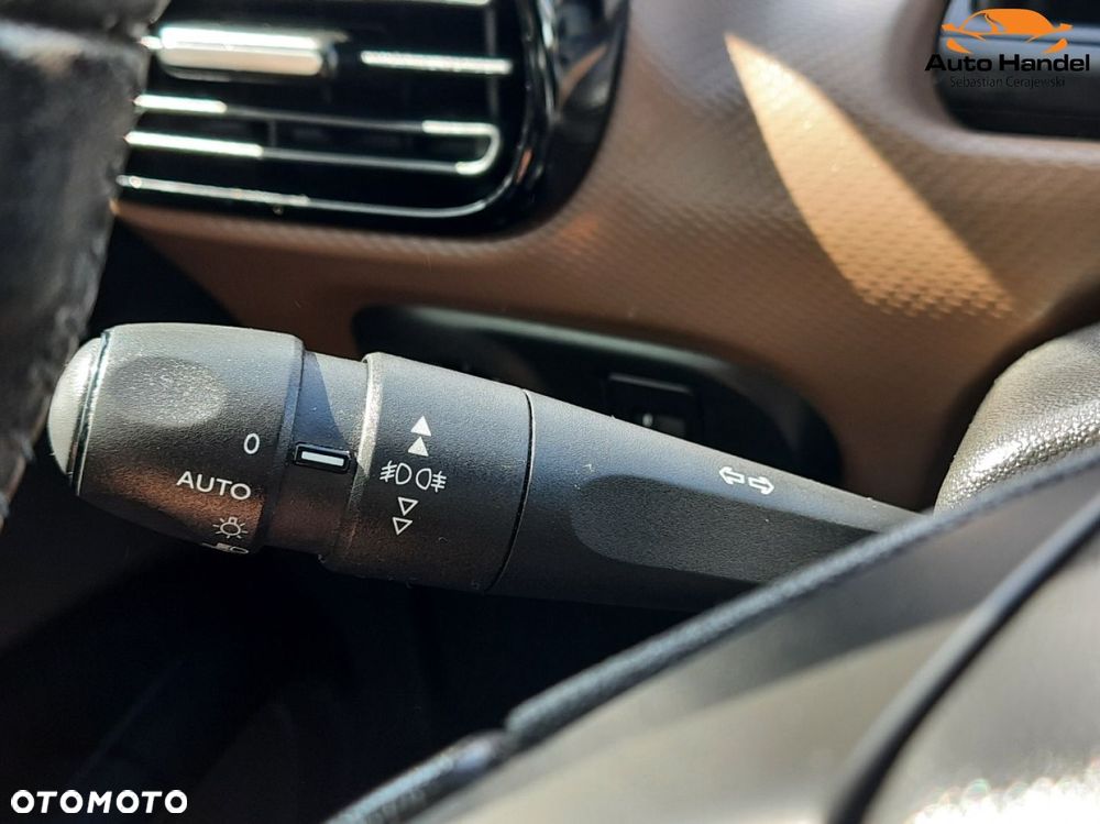 Citroën C4 Cactus 1.6 Blue HDi Shine - 15