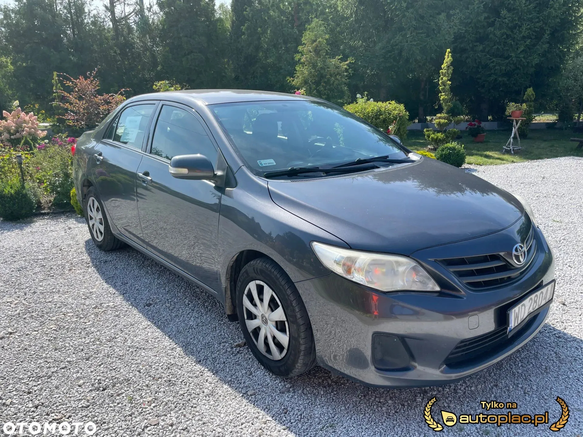 Toyota Corolla - 8
