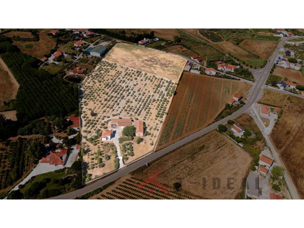 Quinta com 40.000 m² - Privacidade, Natureza e Potencial no Oeste -... - Grande imagem: 3/60