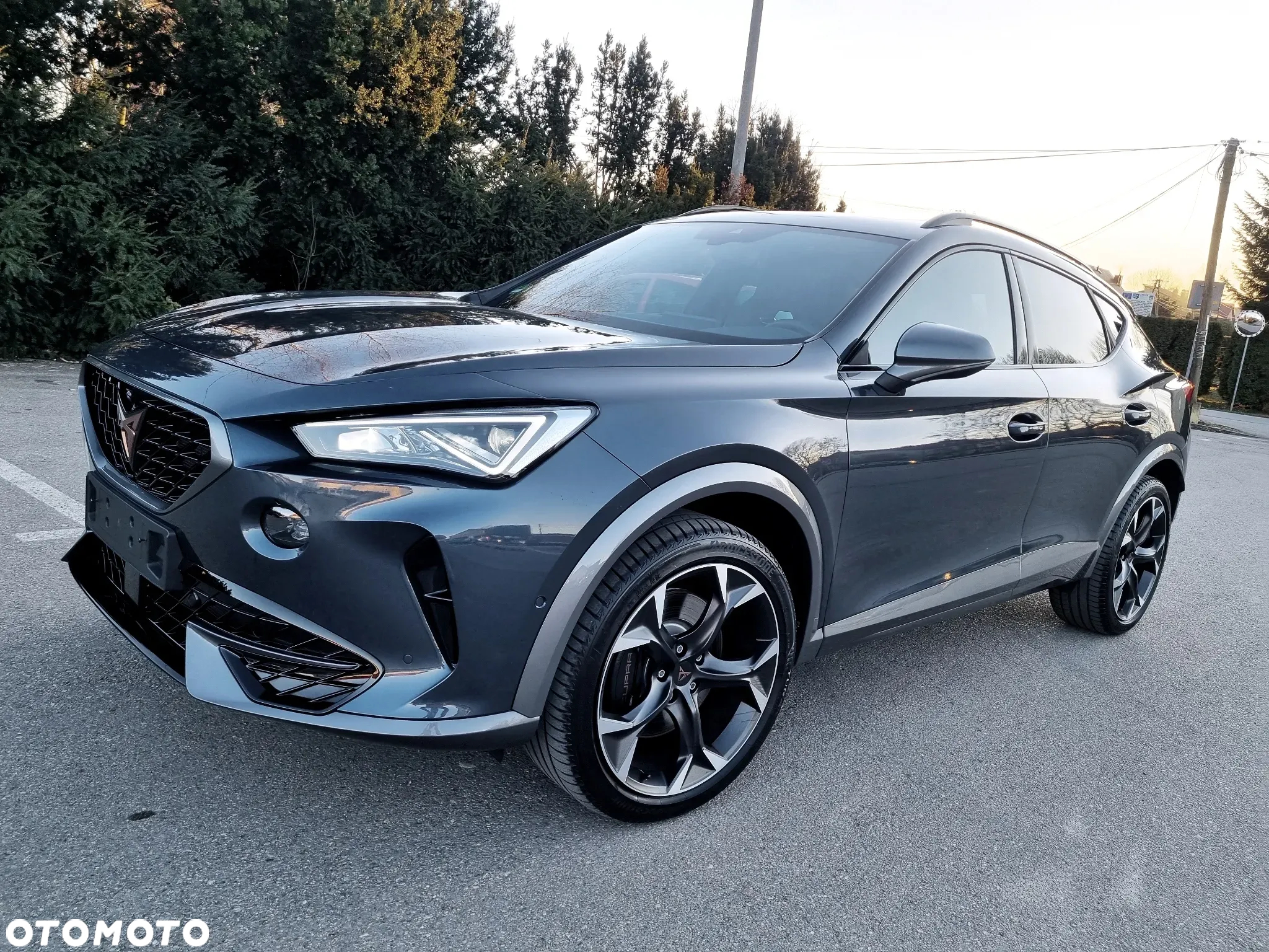 Cupra Formentor 2.0 TSI 4Drive VZ DSG - 6