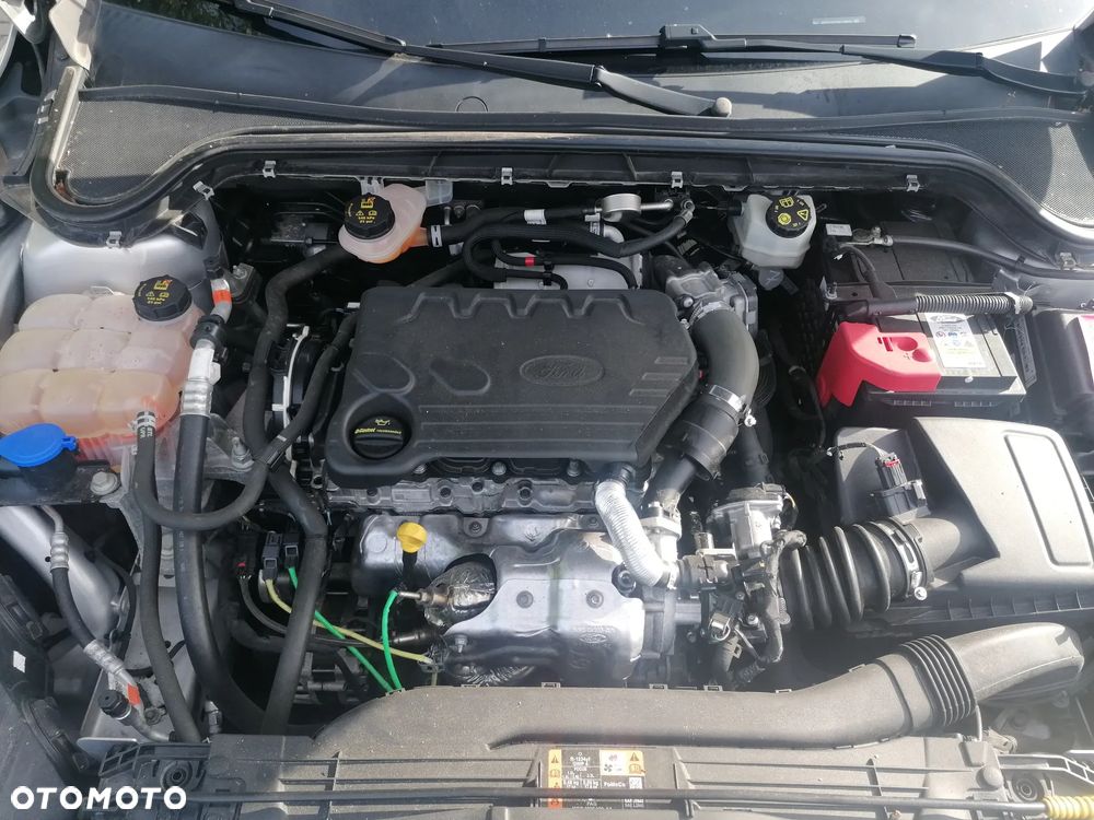 Ford Focus 1.5 EcoBlue Start-Stopp-System ACTIVE STYLE - 14
