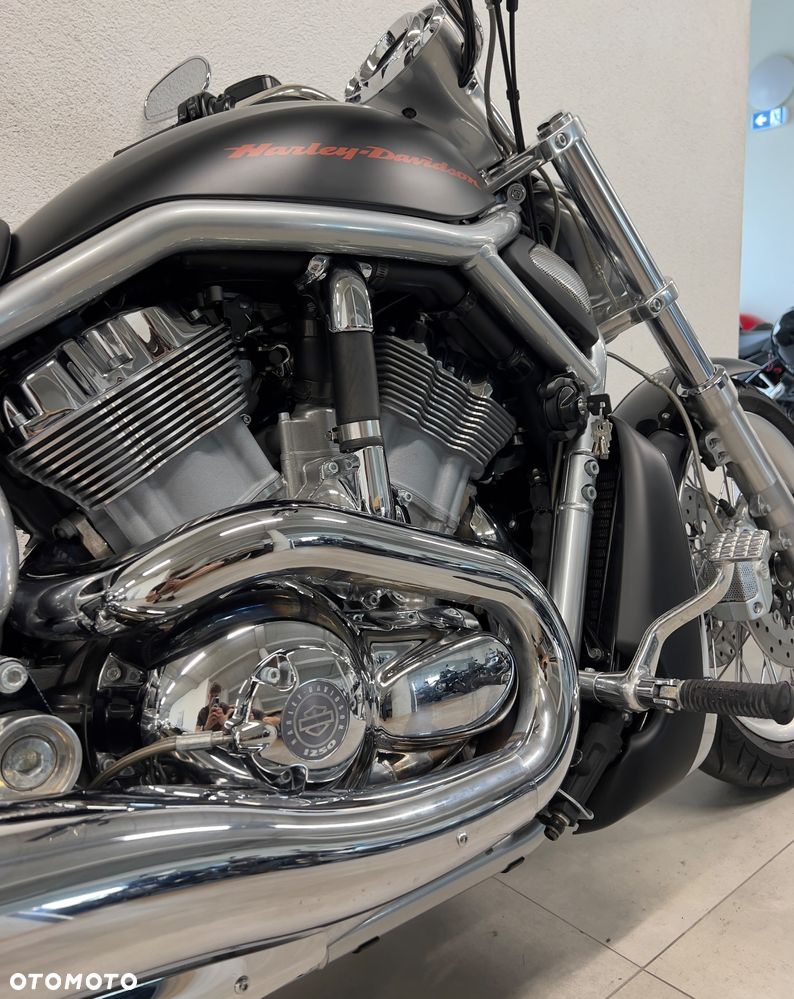 Harley-Davidson V-Rod Night Rod - 13