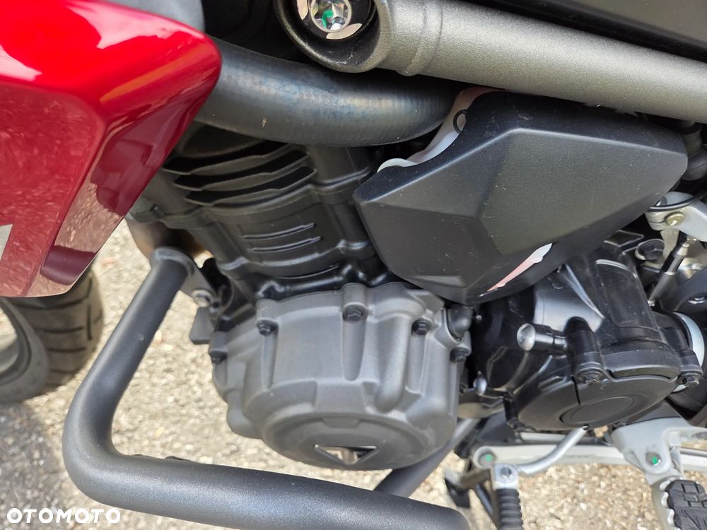 Triumph Tiger - 15
