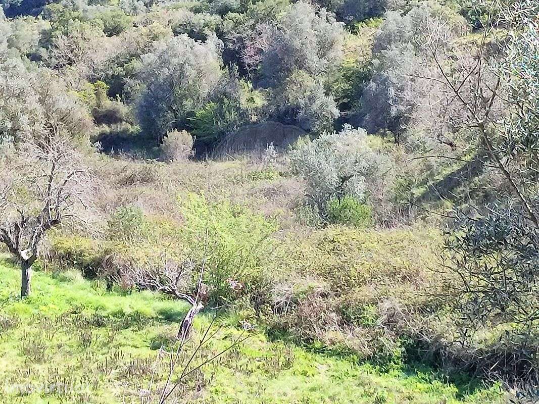 Terreno  para venda - Grande imagem: 3/16