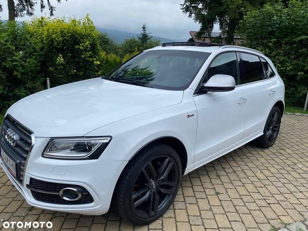 Audi SQ5 - 15
