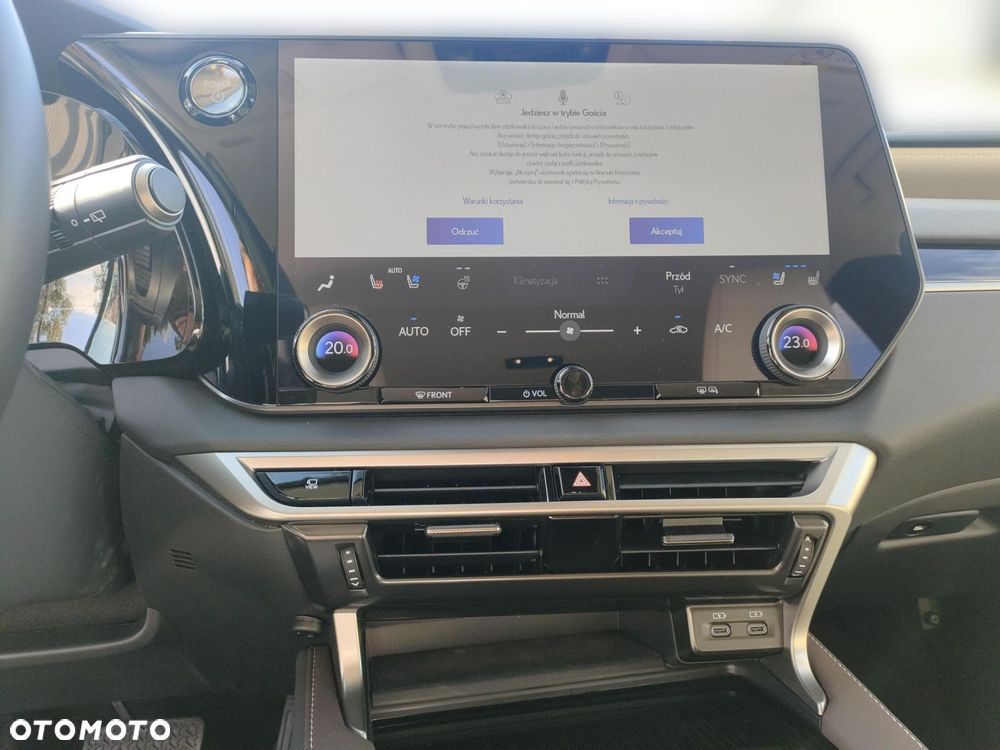 Lexus RX - 18