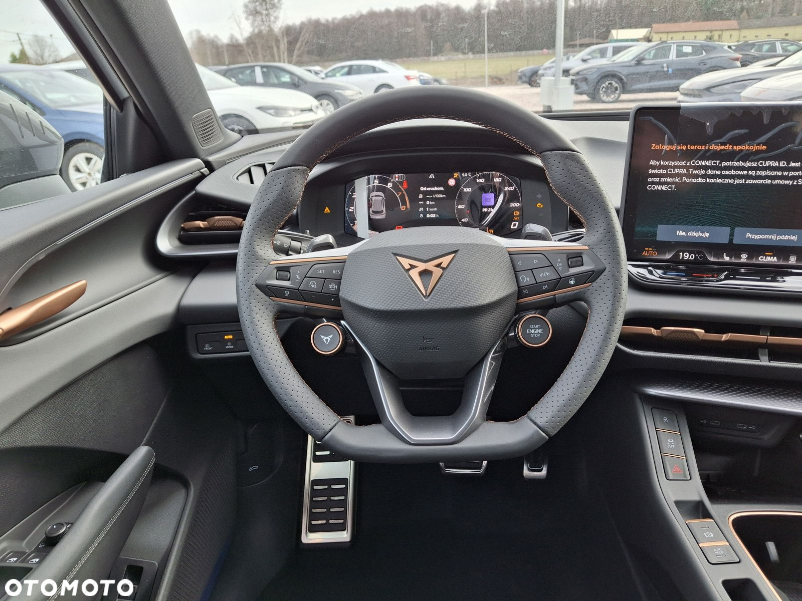 Cupra Terramar - 13