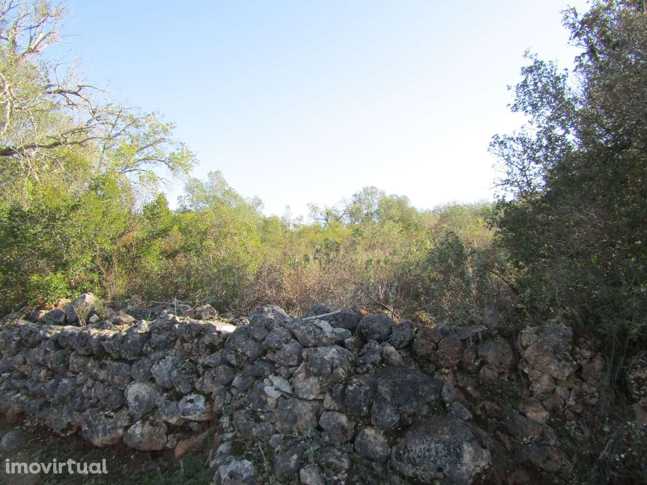 Terreno Rústico - Grande imagem: 2/8