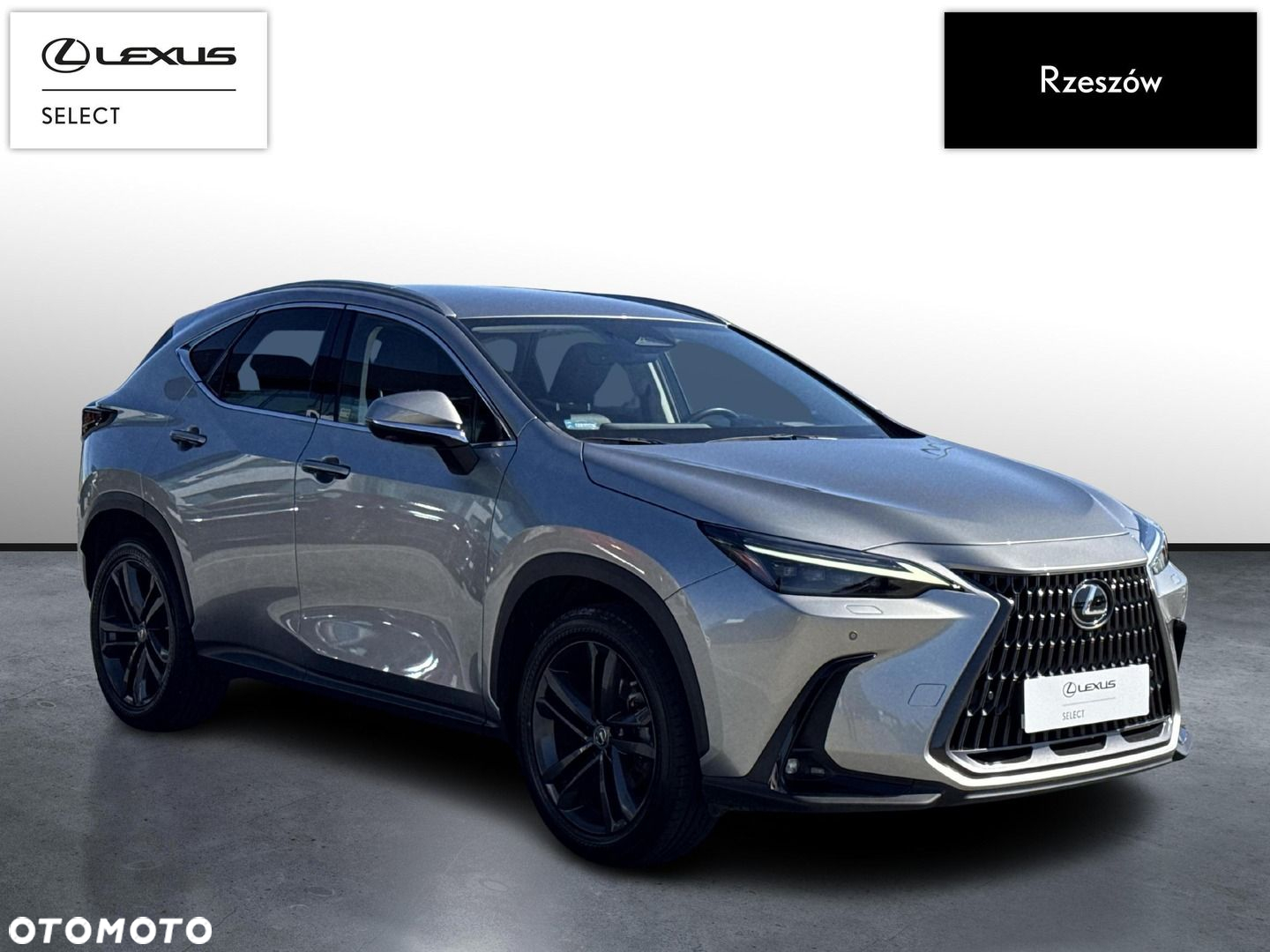 Lexus NX 350h Prestige AWD - 7