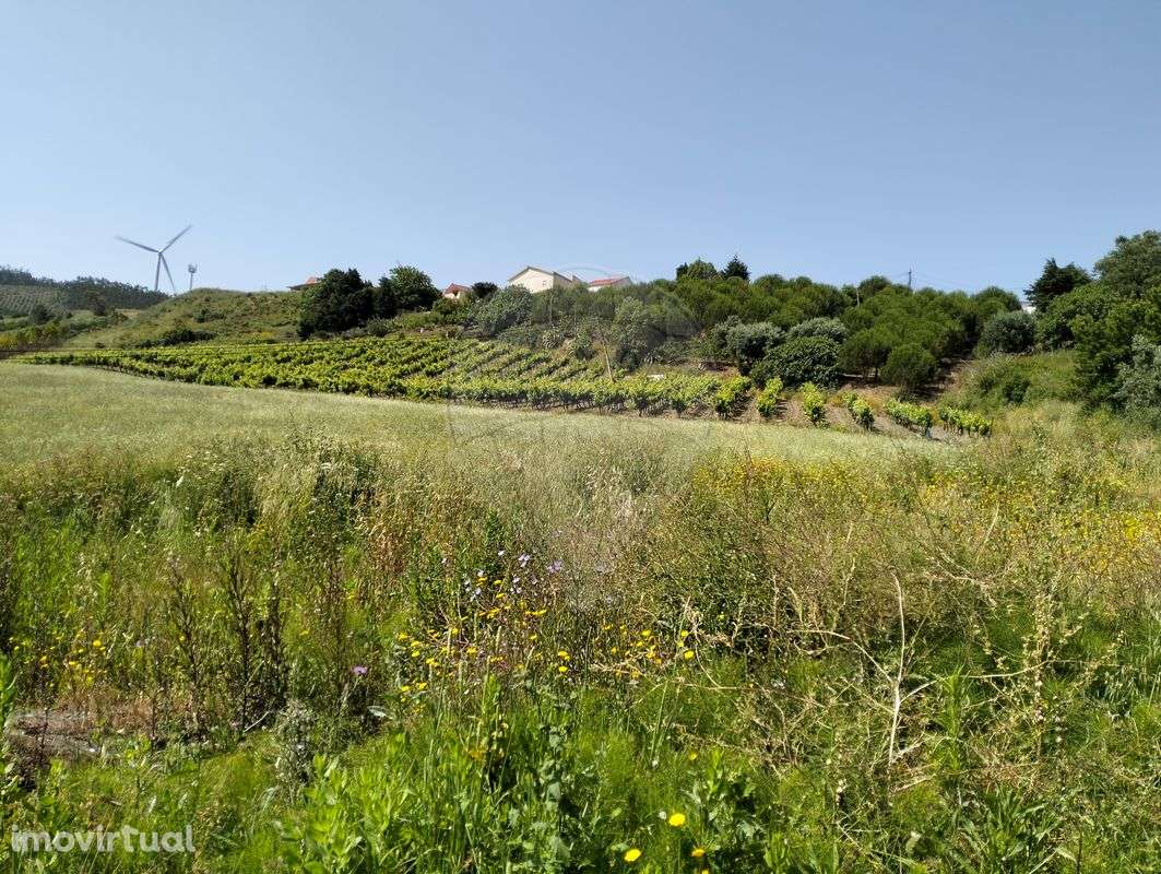 Terreno  para venda - Grande imagem: 4/5