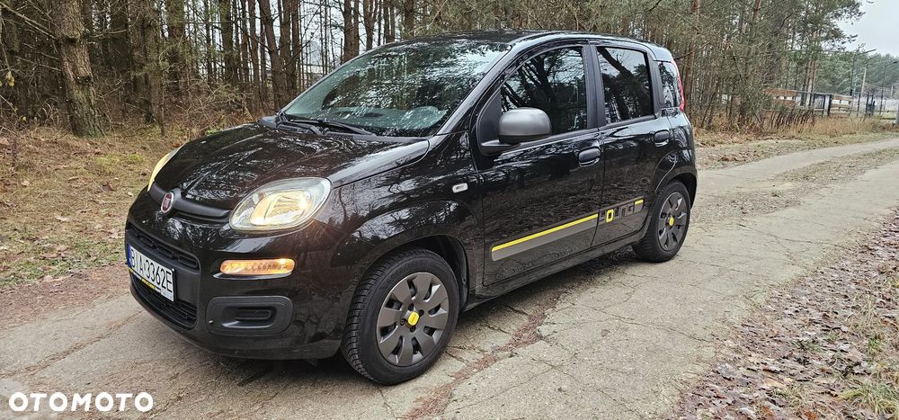 Fiat Panda 1.2 Young - 1