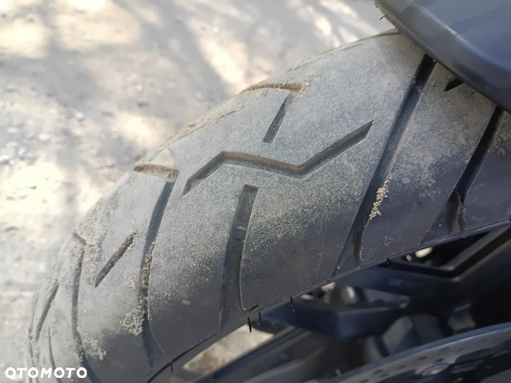 Triumph Tiger - 11