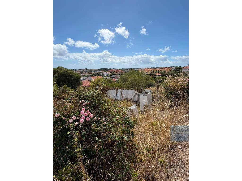 Terreno na Adroana - Grande imagem: 4/22