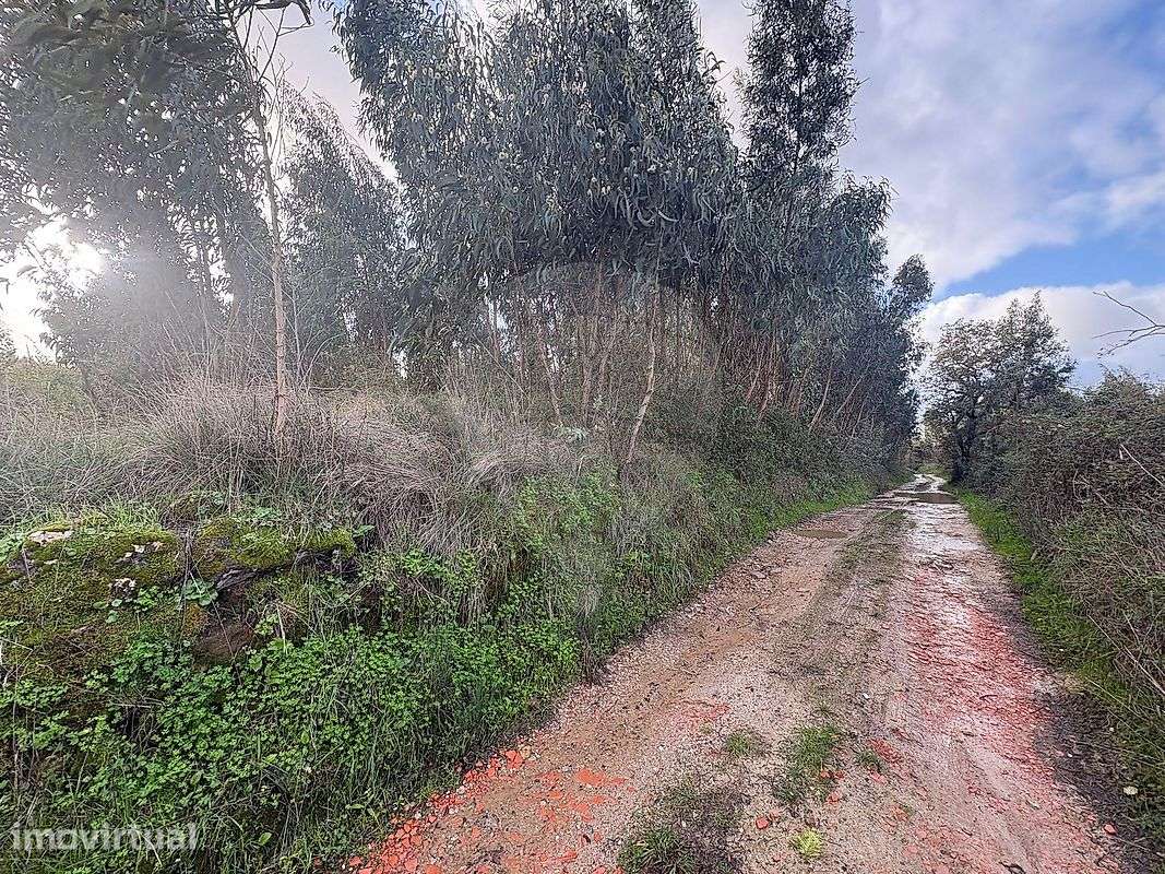 Terreno  para venda - Grande imagem: 4/5