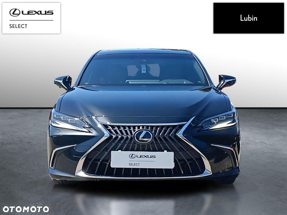 Lexus ES 300h Omotenashi - 9