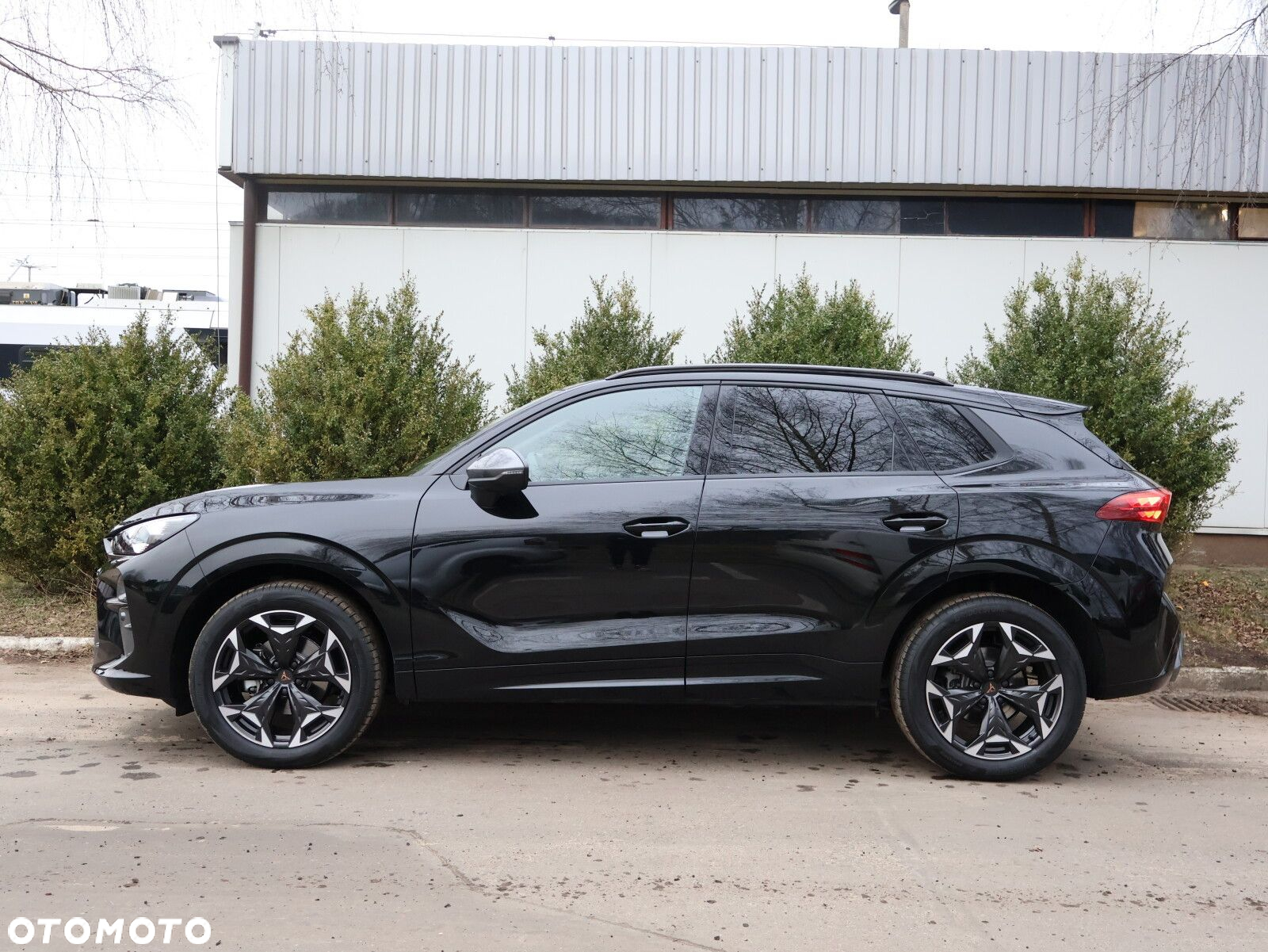 Cupra Terramar 1.5 eTSI mHEV DSG - 6