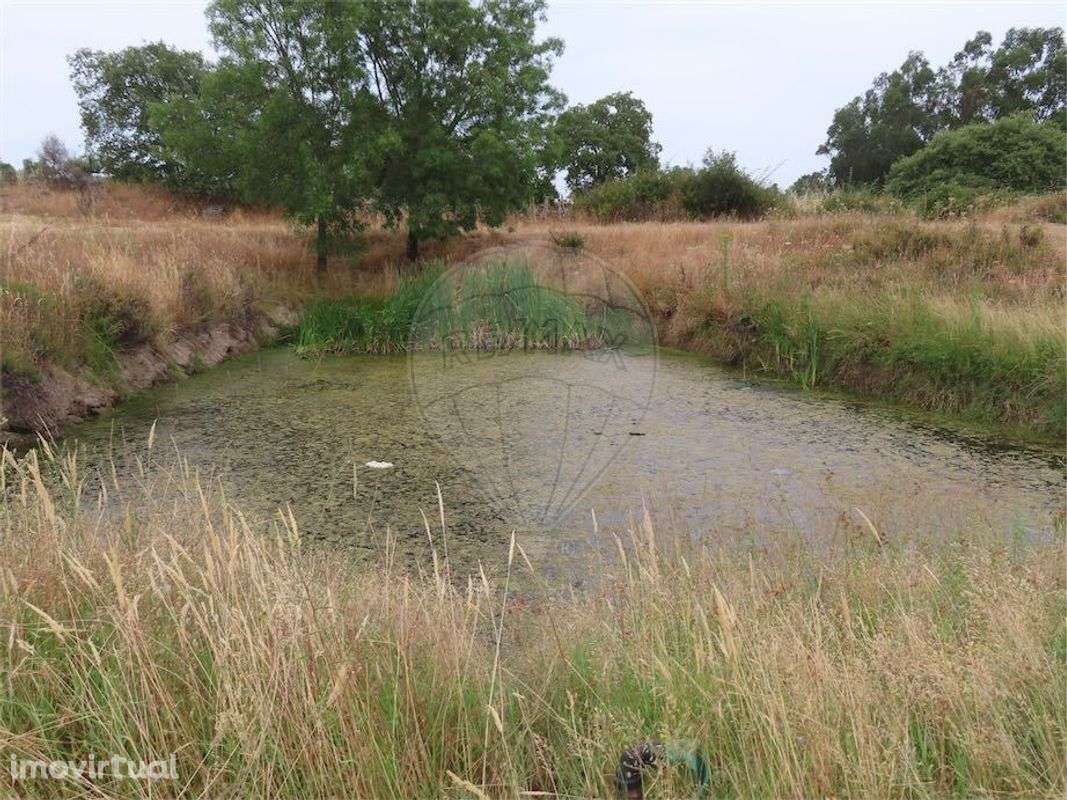 Quinta  para venda - Grande imagem: 2/42