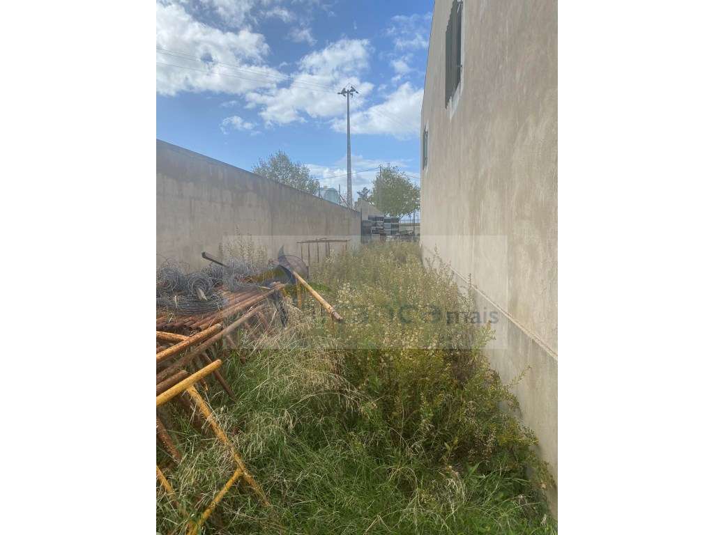 Armazém em Zona de Atividades Económicas - Vila Nova de São Bento - Grande imagem: 5/11
