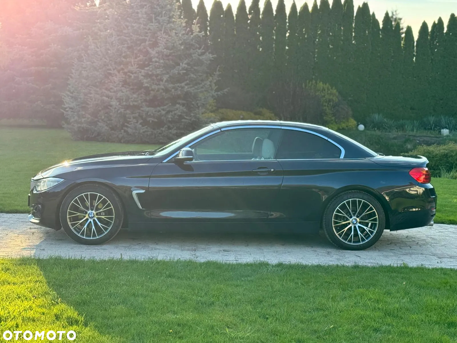 BMW Seria 4 420d Cabrio Luxury Line - 14