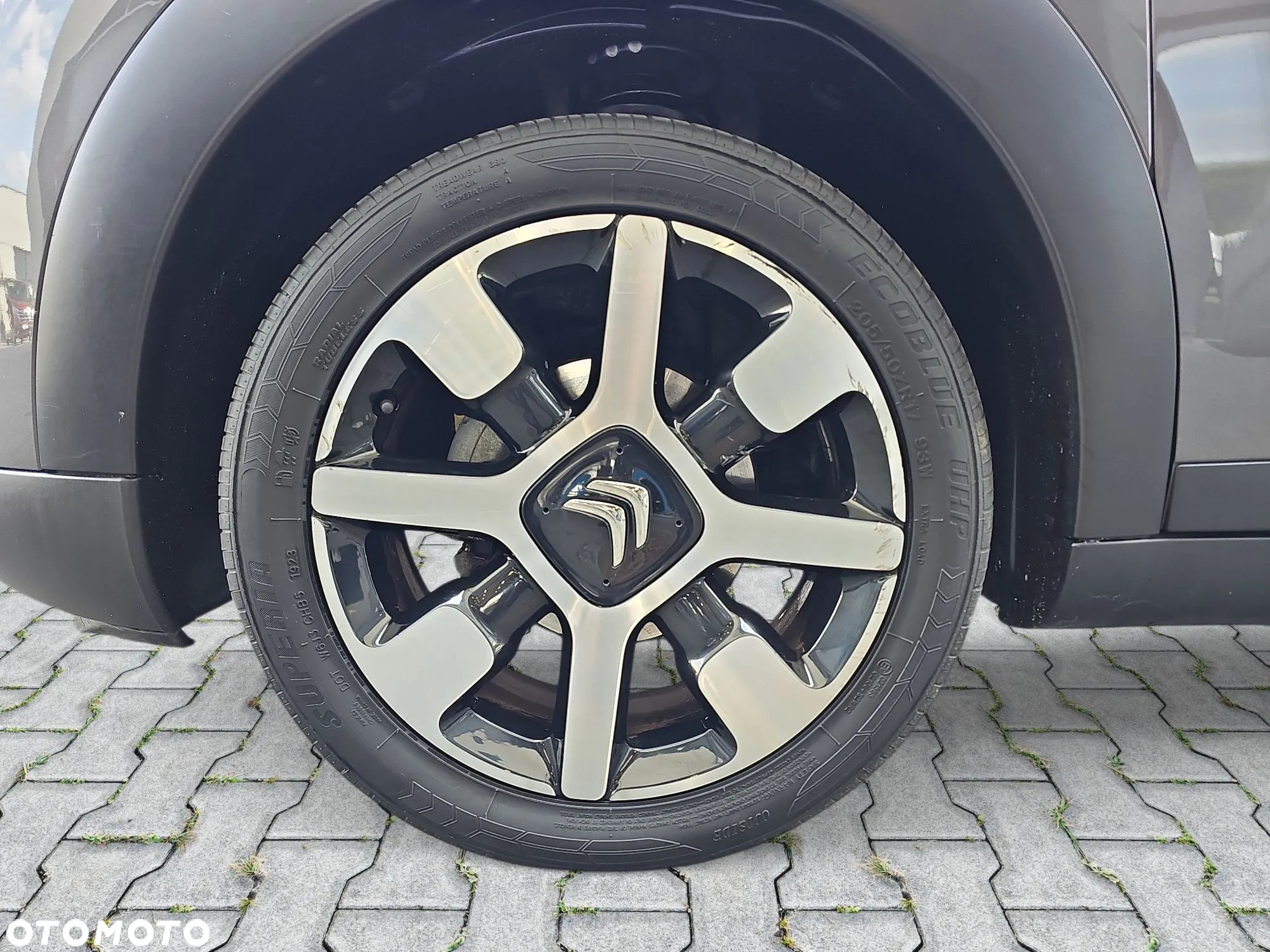 Citroën C4 Cactus 1.2 PureTech Shine S&S EAT6 - 9