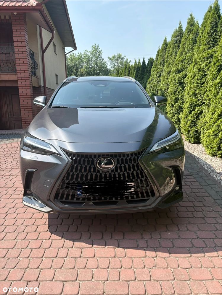 Lexus NX - 1