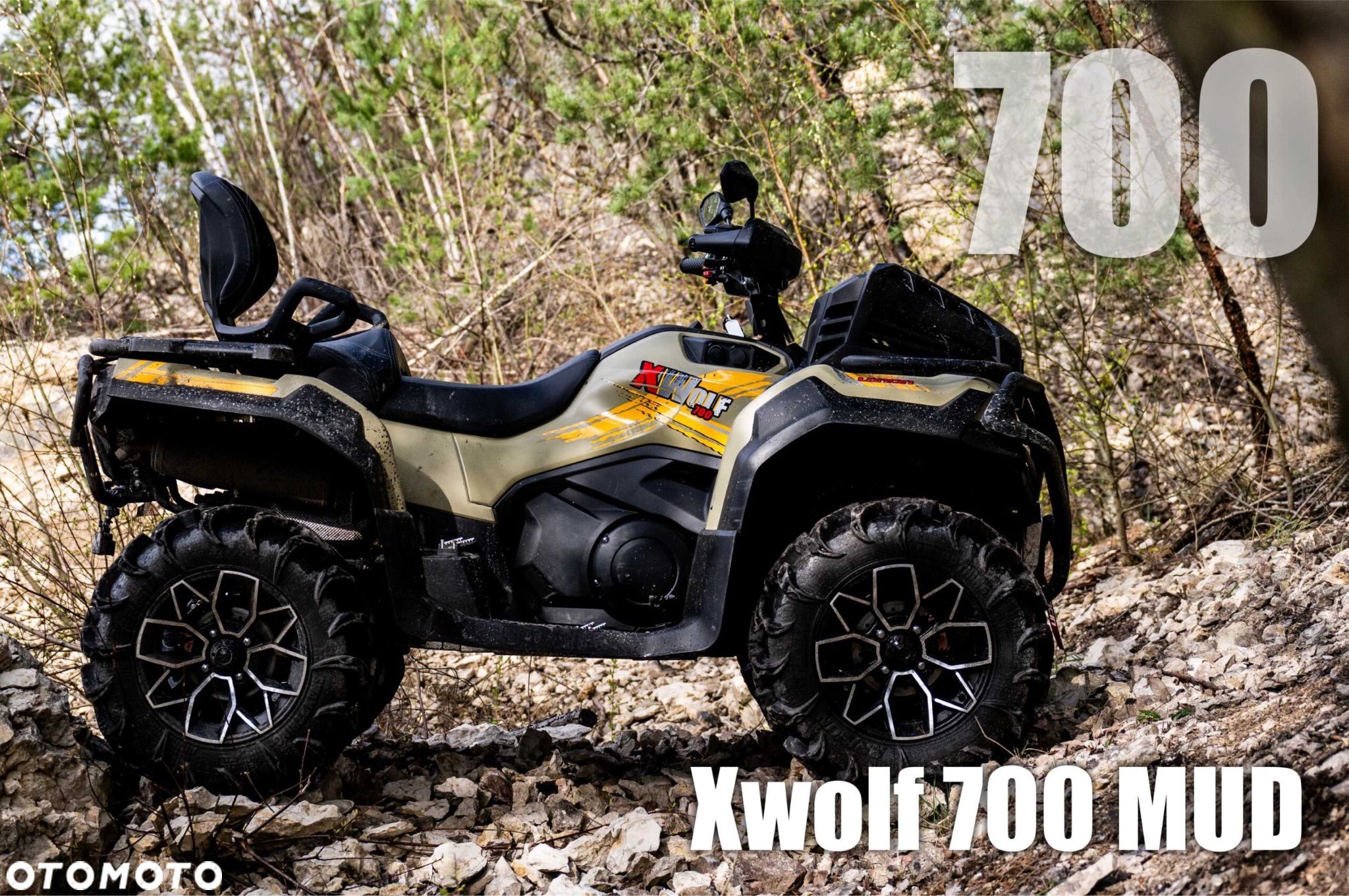 Loncin XWOLF 700