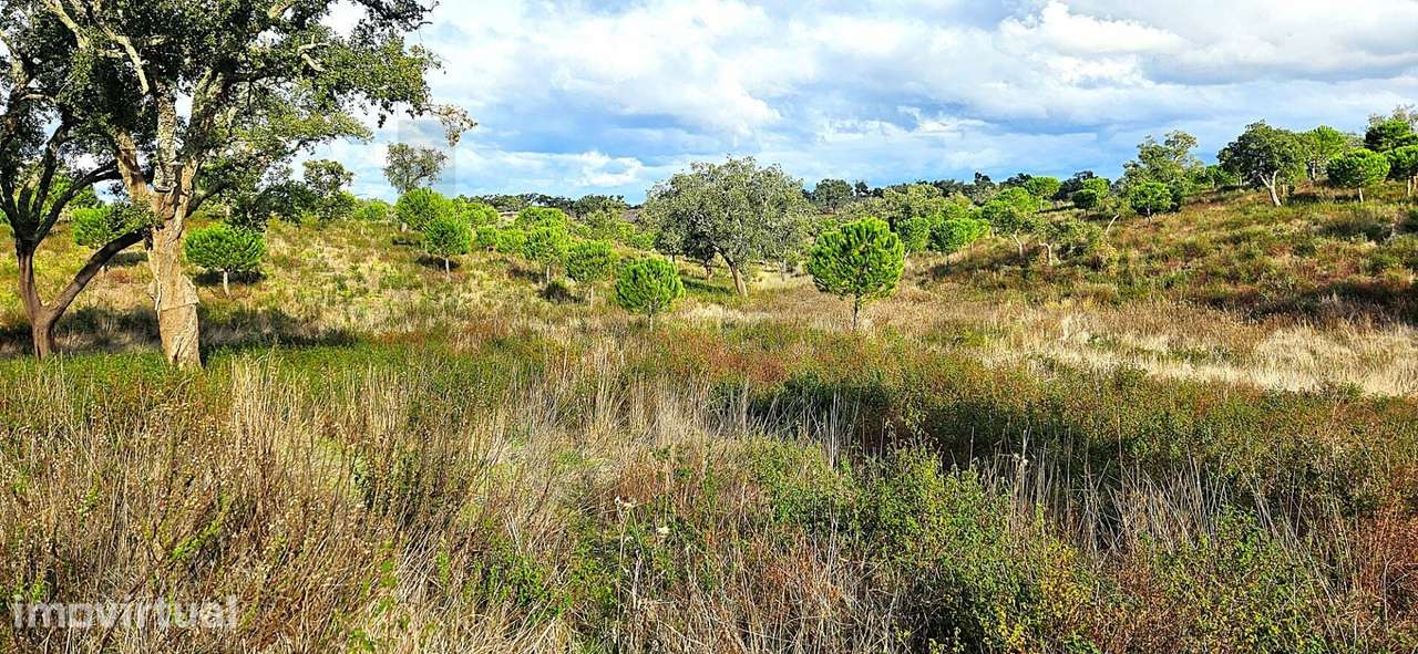 Refúgio em Grândola: 4,5 Hectares com Viabilidade, Nascente e Proximid - Grande imagem: 4/32