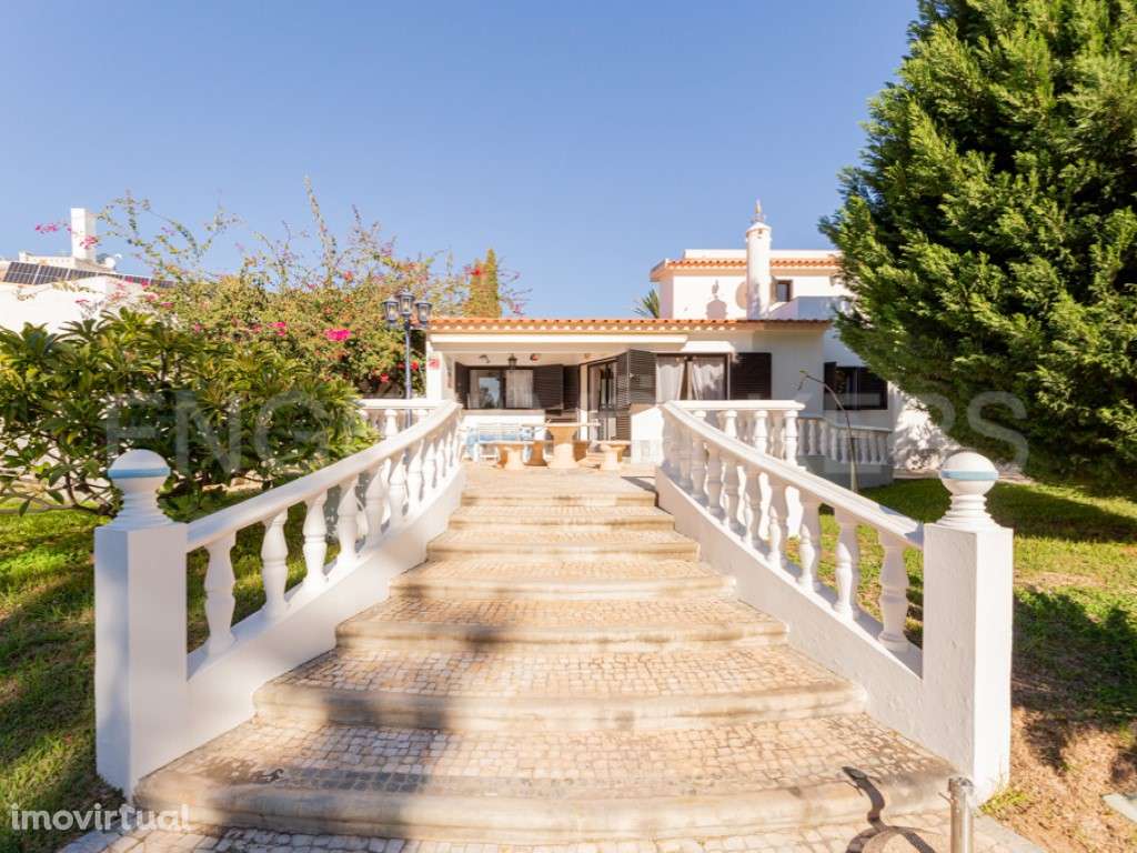 Serene Grove - Grande imagem: 3/31