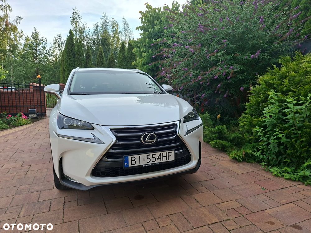 Lexus NX 200t Comfort AWD - 4