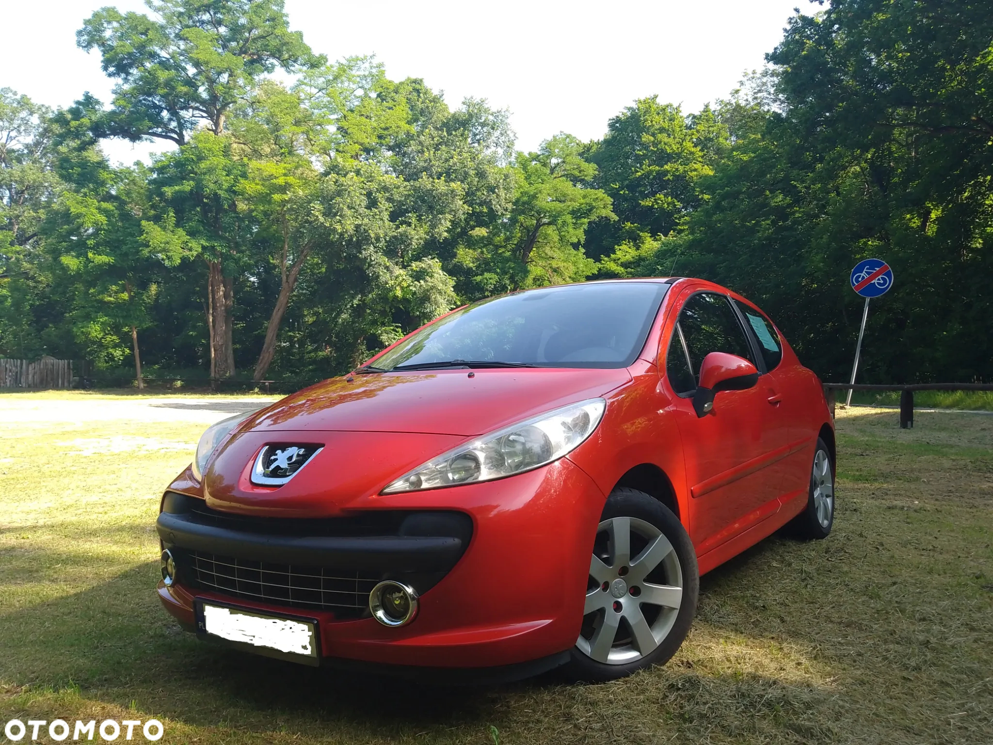 Peugeot 207 - 3