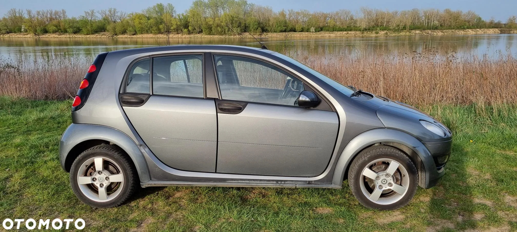 Smart Forfour passion - 2