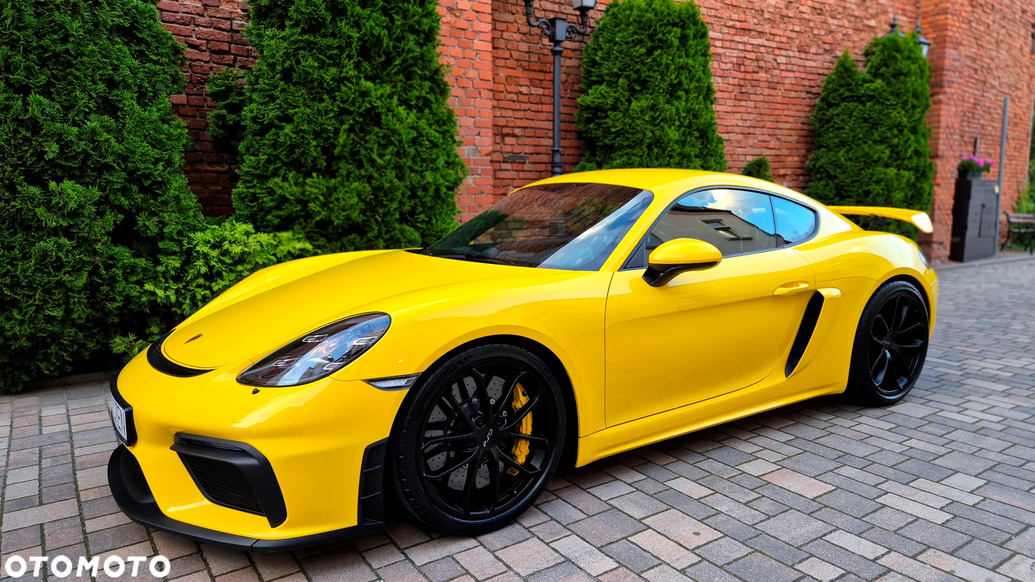 Porsche 718 Cayman GPF GT4 - 3