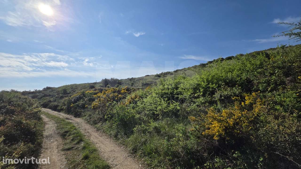 Terreno Rústico C/ Vista desafogada - Grande imagem: 2/11