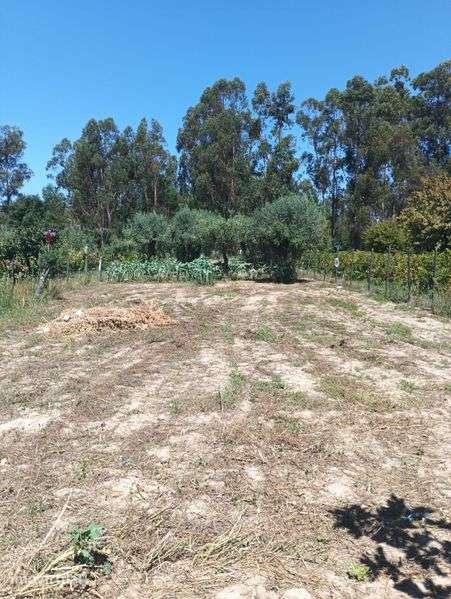 Vende se terreno