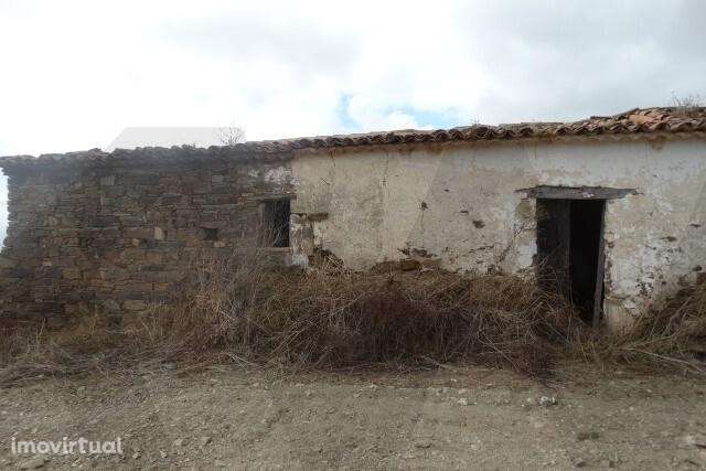 MONTE BRANCO DA VINHA COM POSSIBILIDADE DE CONSTRUÇÃO - SANTANA DA SER - Grande imagem: 2/14