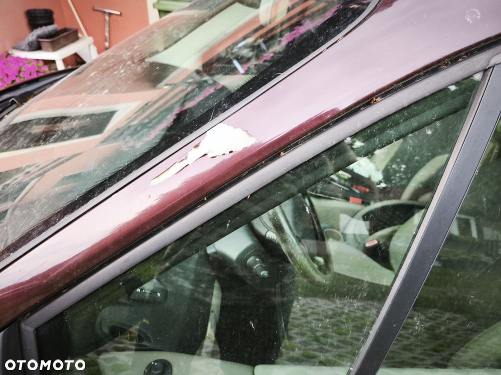 Renault Scenic - 7