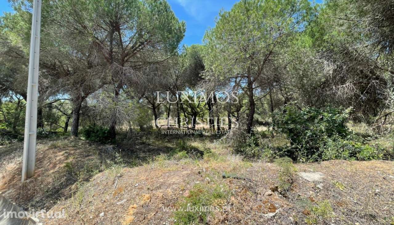 Terreno rústico para venda na Quinta do Lago, Algarve - Grande imagem: 2/10