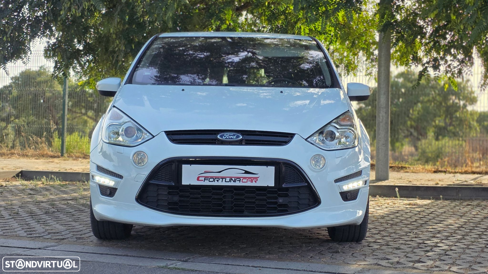 Ford S-Max 2.0 TDCi Titanium 7L - 2