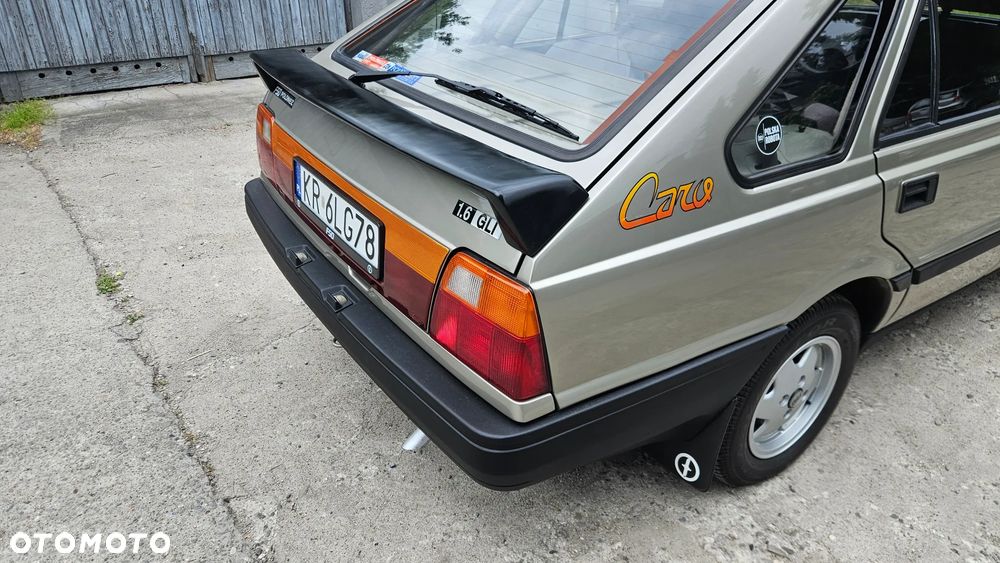 Polonez Caro - 13