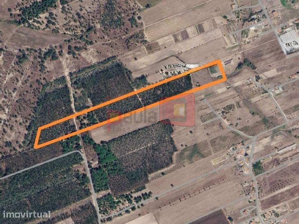 TERRENO RÚSTICO COM 6.6HA - TAIPADAS - Grande imagem: 2/4
