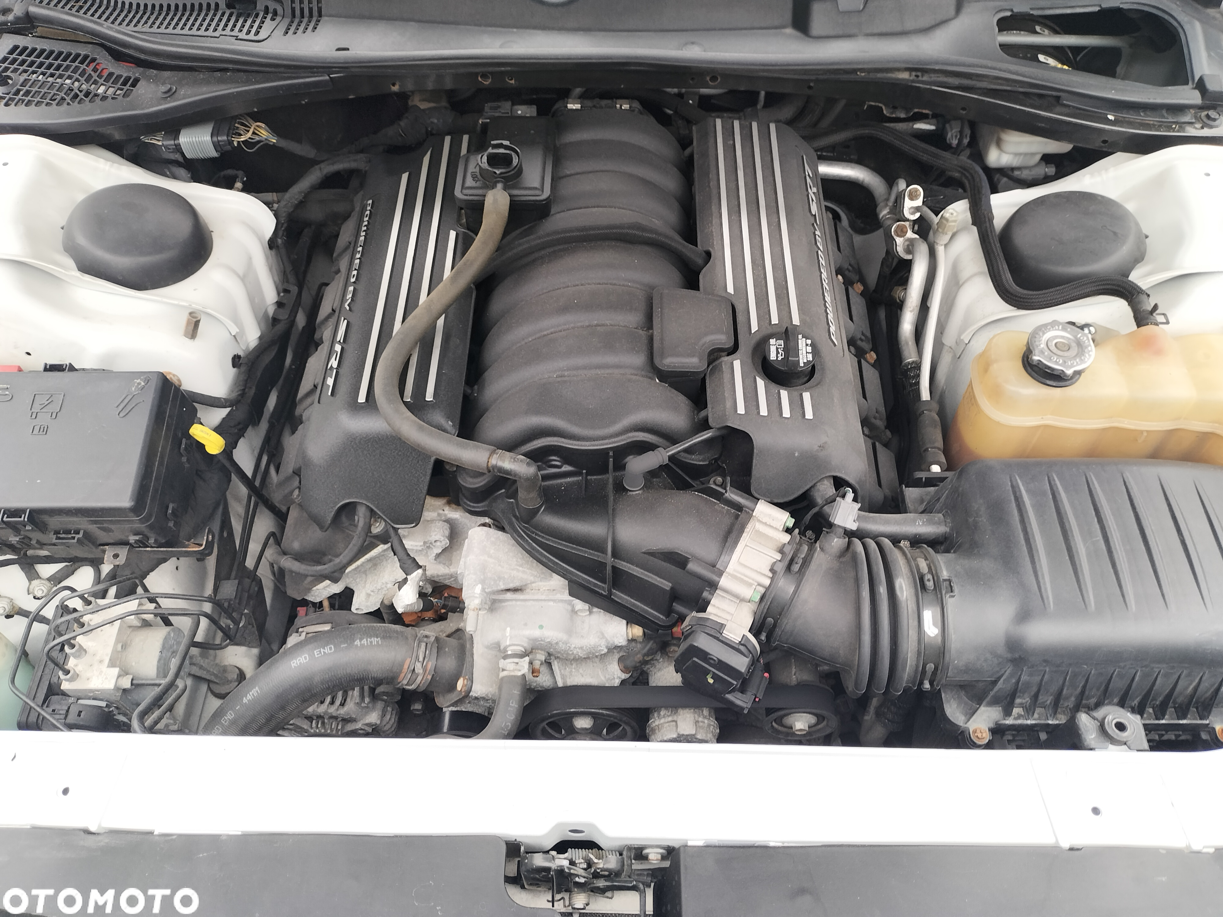 Dodge Challenger 6.4 Scat Pack - 19