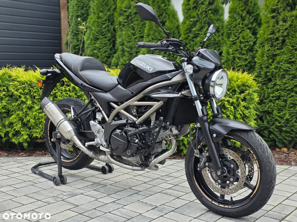 Suzuki SV - 1