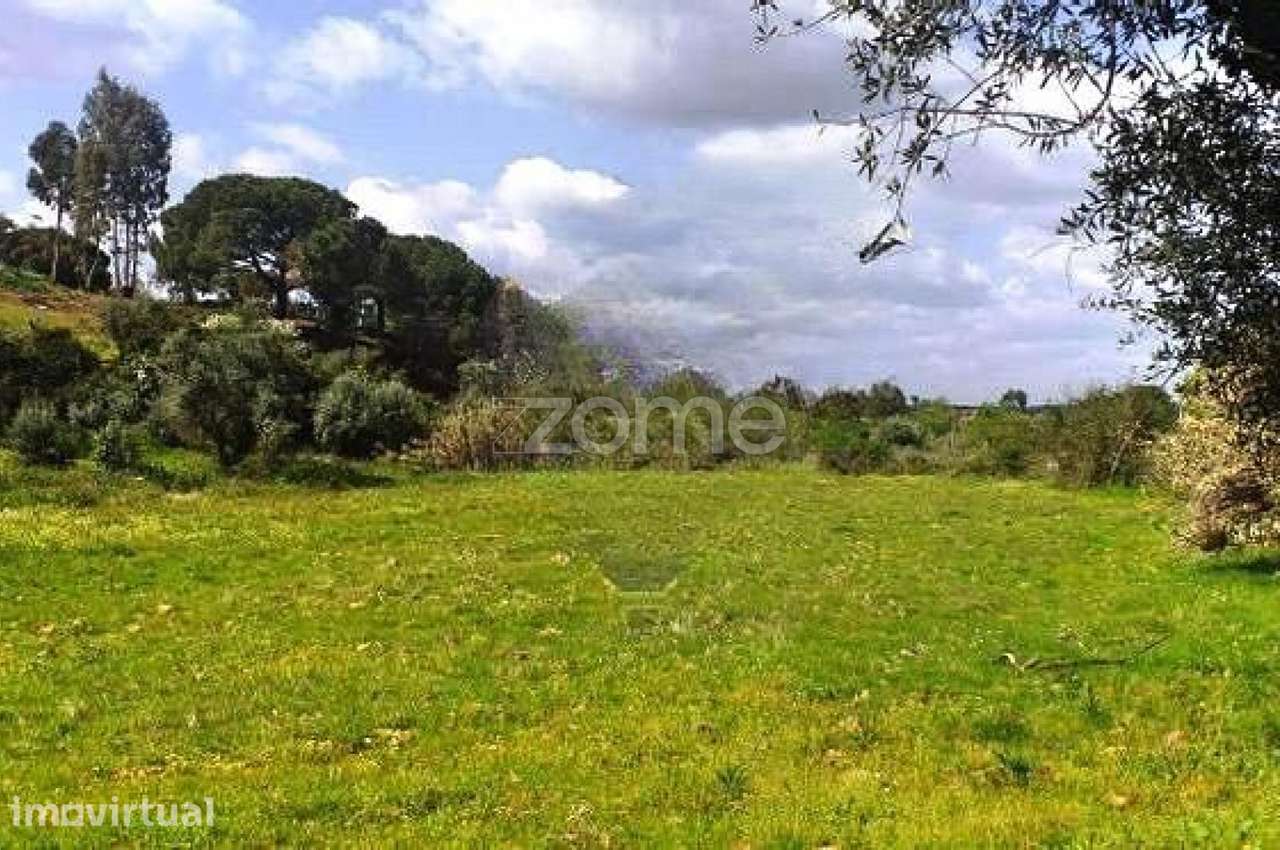 Terreno Rústico com 7000m2 localizado em Montargil. - Grande imagem: 2/10