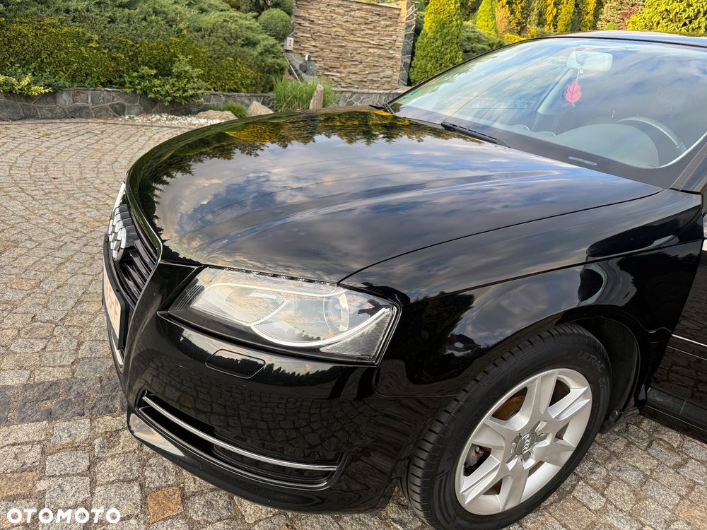 Audi A3 Sportback 1.6 Ambiente - 20