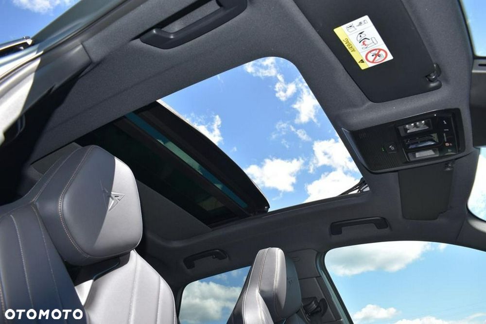 Cupra Terramar - 15
