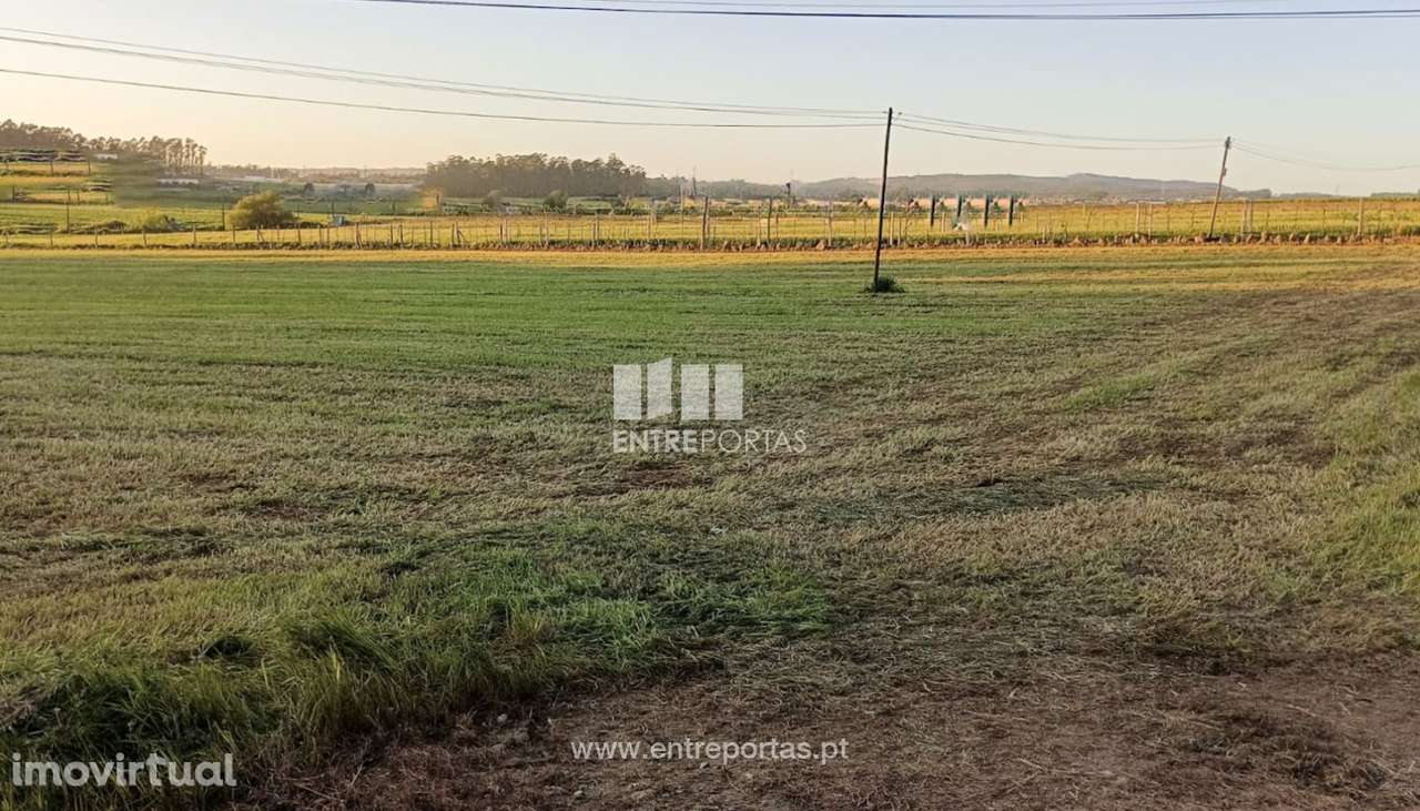 Venda de Terreno com 2600 m2, Arcos, Vila do Conde - Grande imagem: 3/11