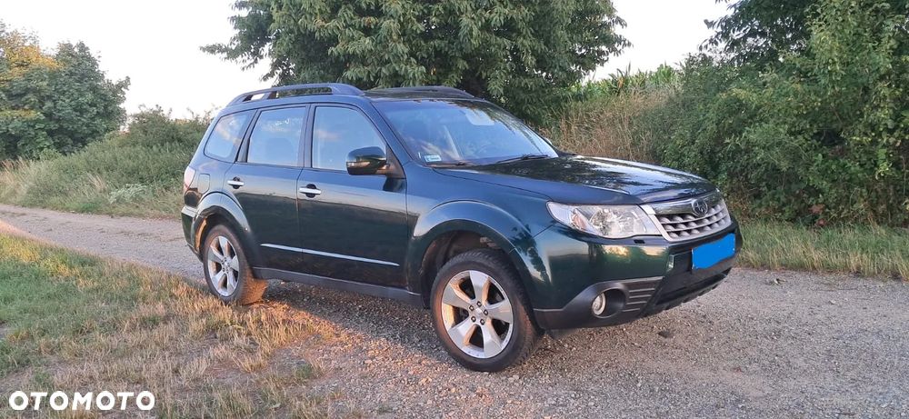 Subaru Forester - 14