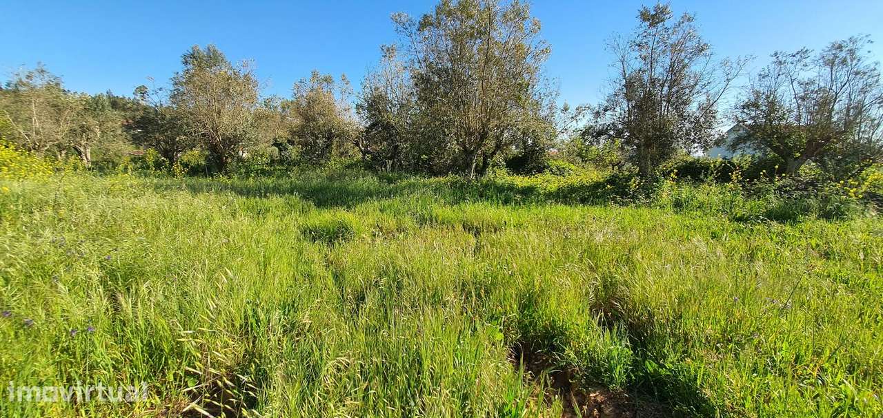 Terreno com urbano em ruína para Moradia em Igreja Nova do Sobral - Grande imagem: 5/13