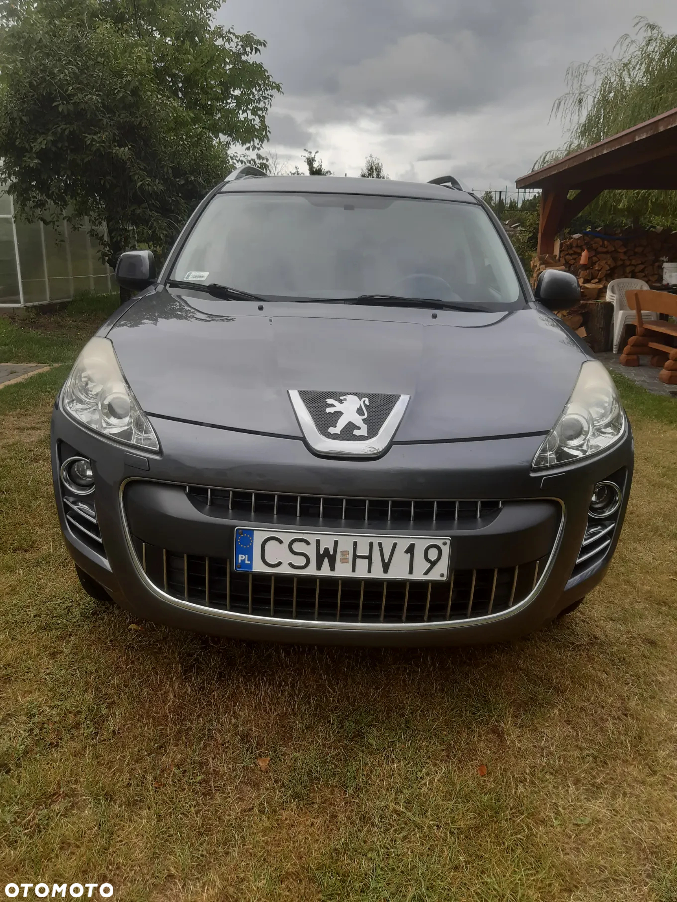 Peugeot 4007 HDI FAP 7-Sitzer Platinum - 3