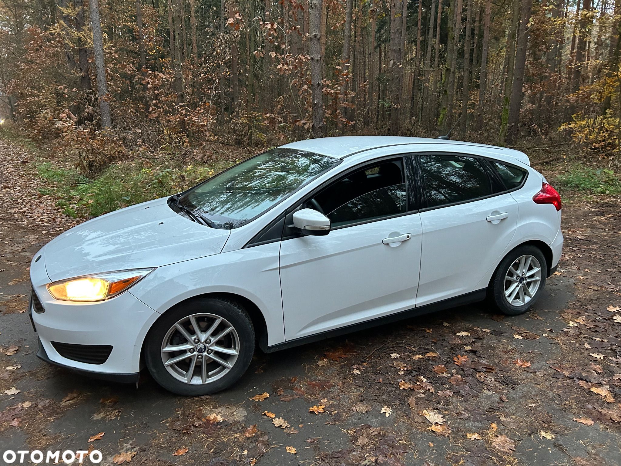 Ford Focus - 1